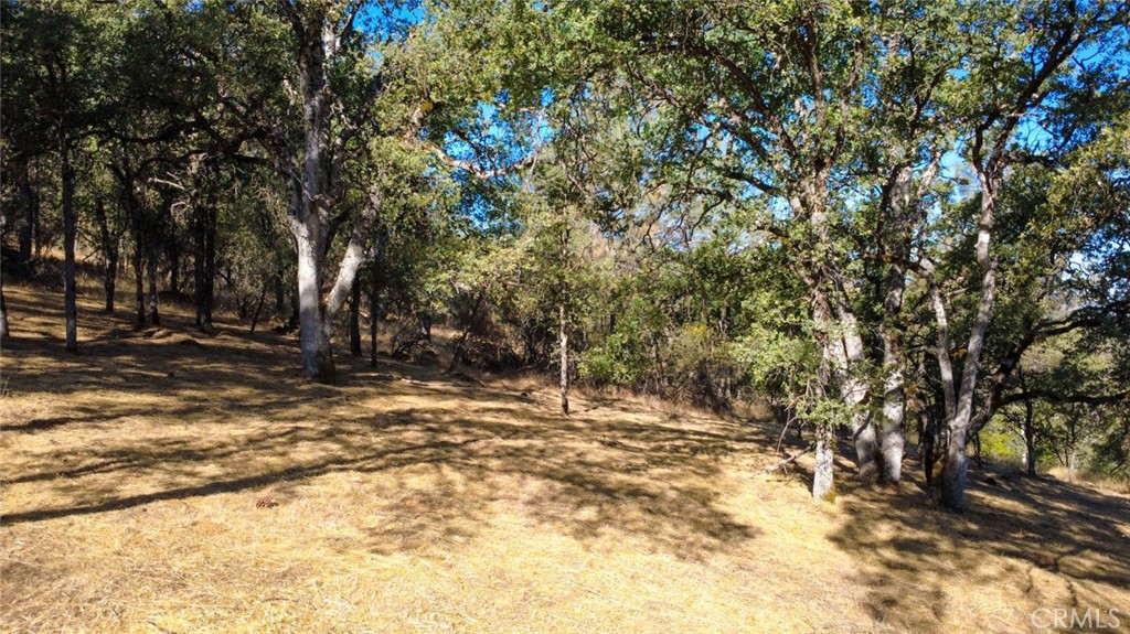 6005 Sherlock Road Midpines, CA 95345 - Photo 29 of 49 Gallery Image 29