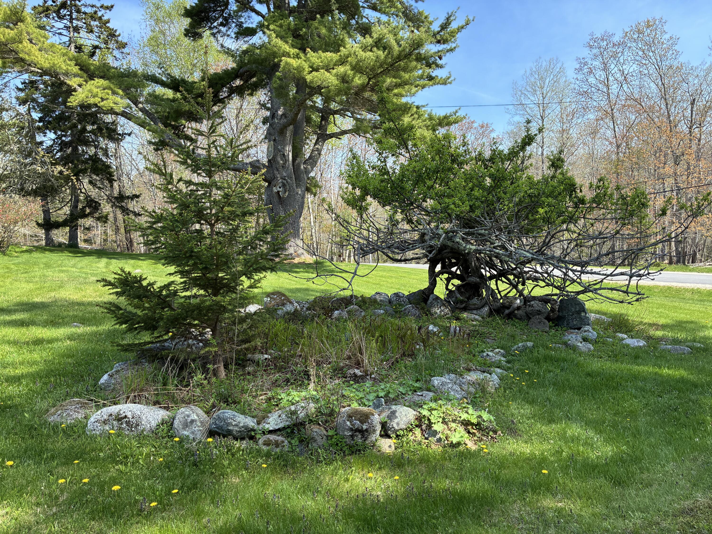 707 Newbury Neck Road Surry, ME 04684 - Photo 38 of 40 Front rock garden.