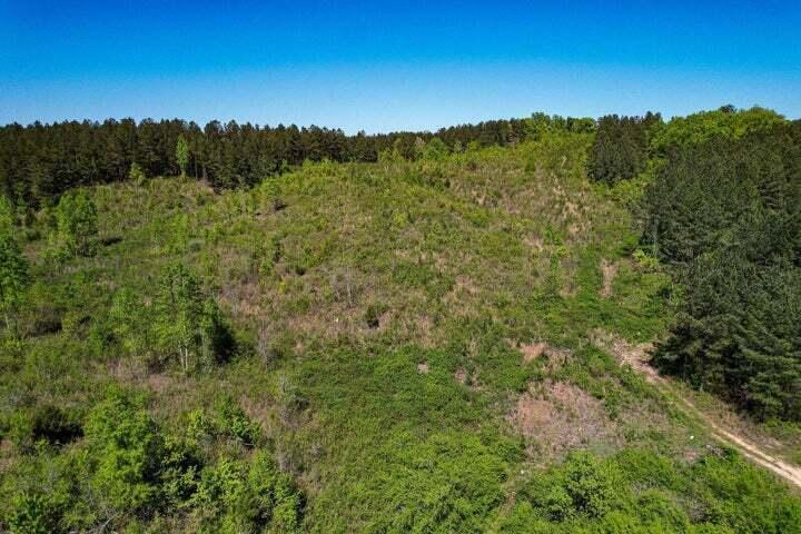 0 Sneed Road Decatur, TN 37322 - Photo 1 of 3 20240425004144371652000000-o