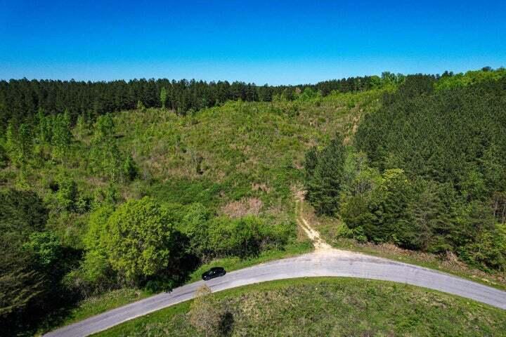 0 Sneed Road Decatur, TN 37322 - Photo 2 of 3 20240425004146290196000000-o