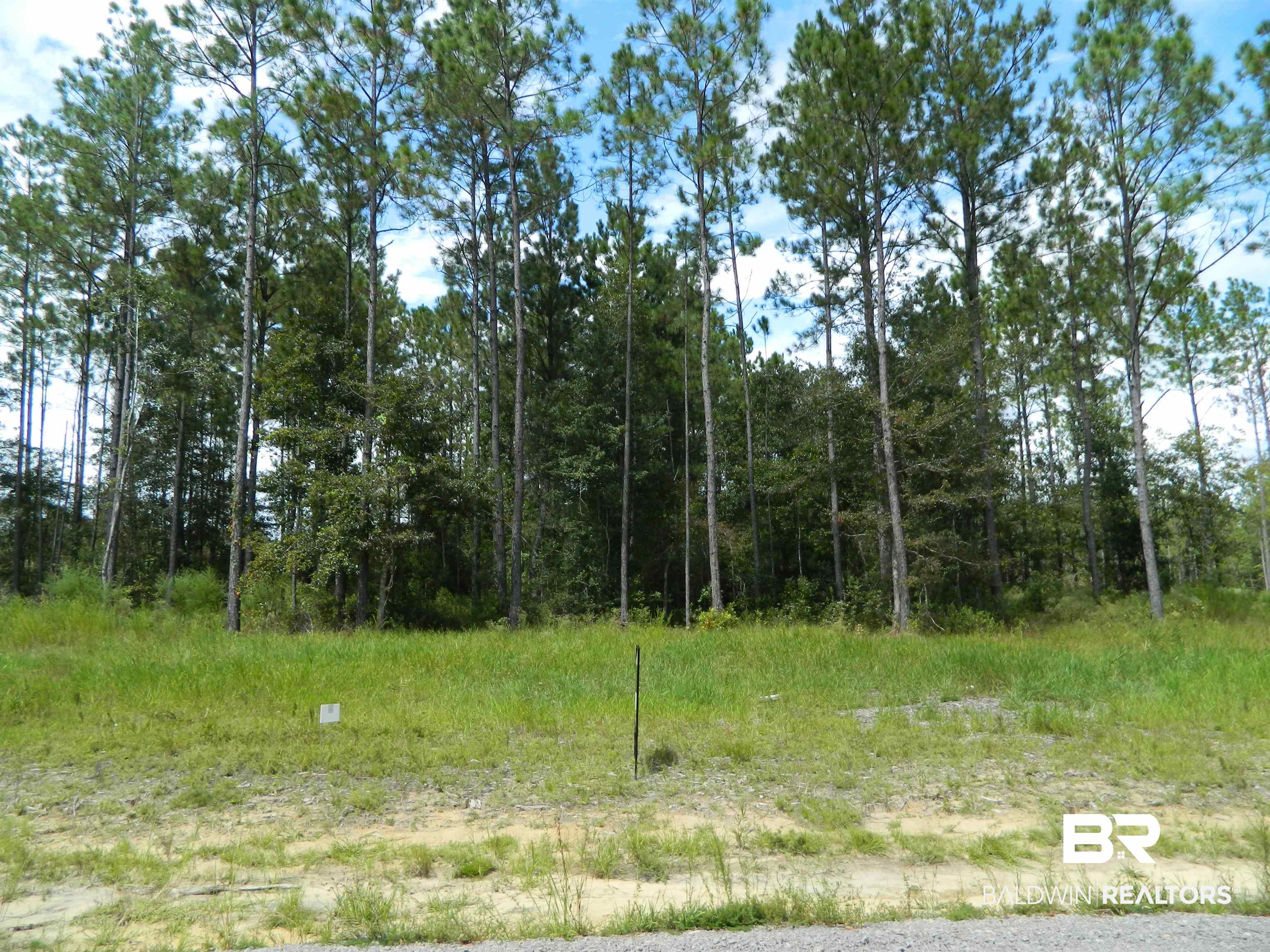 4 Foxtrap Road Axis, AL 36505 - Photo 1 of 9