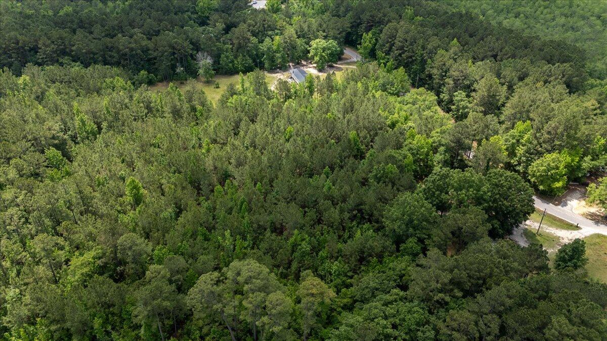 0 Deneaux Road Rowesville, SC 29133 - Photo 25 of 43 25-Deneaux-21