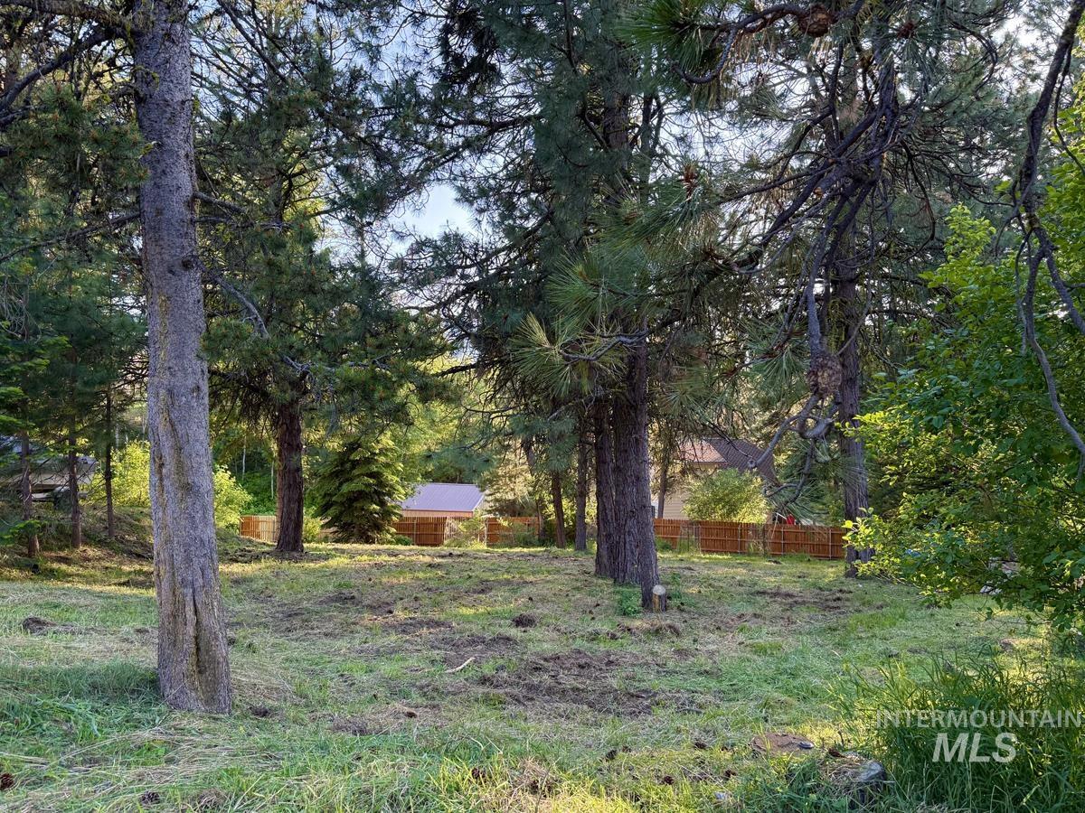 903 Divot Circle Cascade, ID 83611 - Photo 2 of 9 View of yard