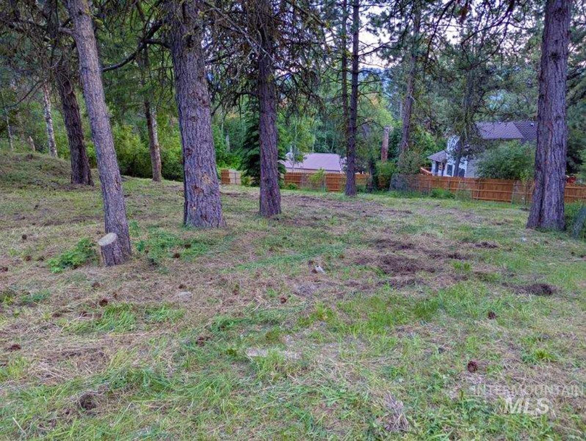 903 Divot Circle Cascade, ID 83611 - Photo 4 of 9 View of yard