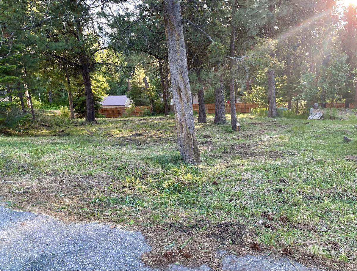 903 Divot Circle Cascade, ID 83611 - Photo 6 of 9 View of yard