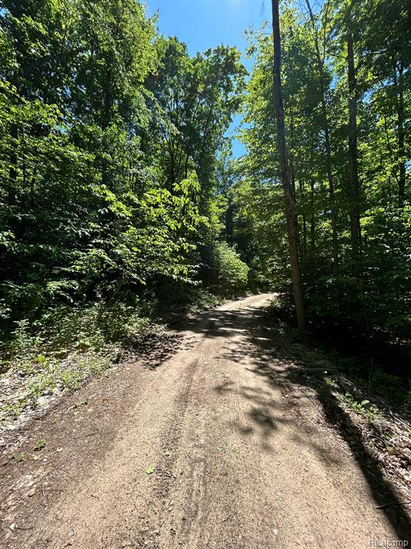 Vl Smith Lake Road Mancelona, MI 49659 - Photo 6 of 9
