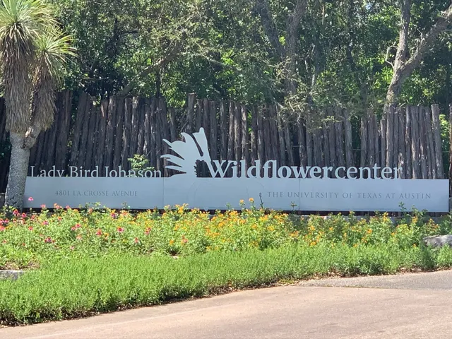 a view of a house with a garden