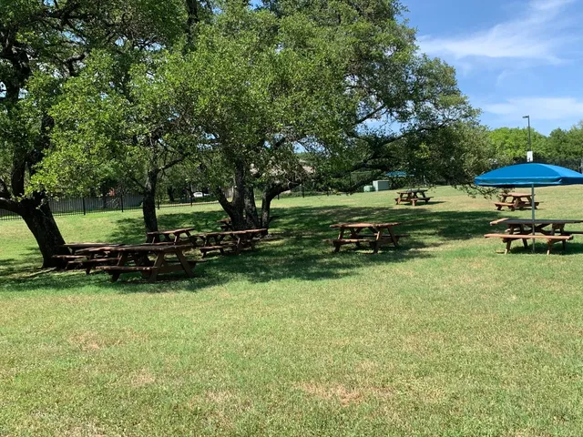 a view of a park with large trees