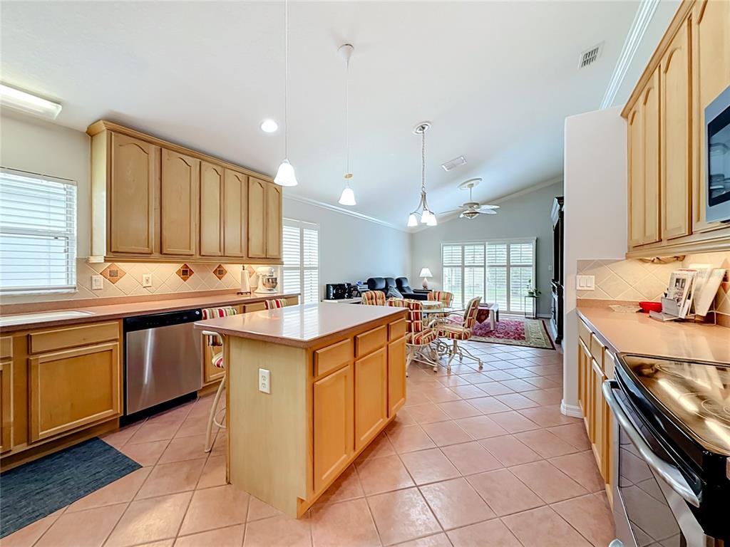 24044 Peekskill Street Leesburg, FL 34748 - Photo 25 of 59