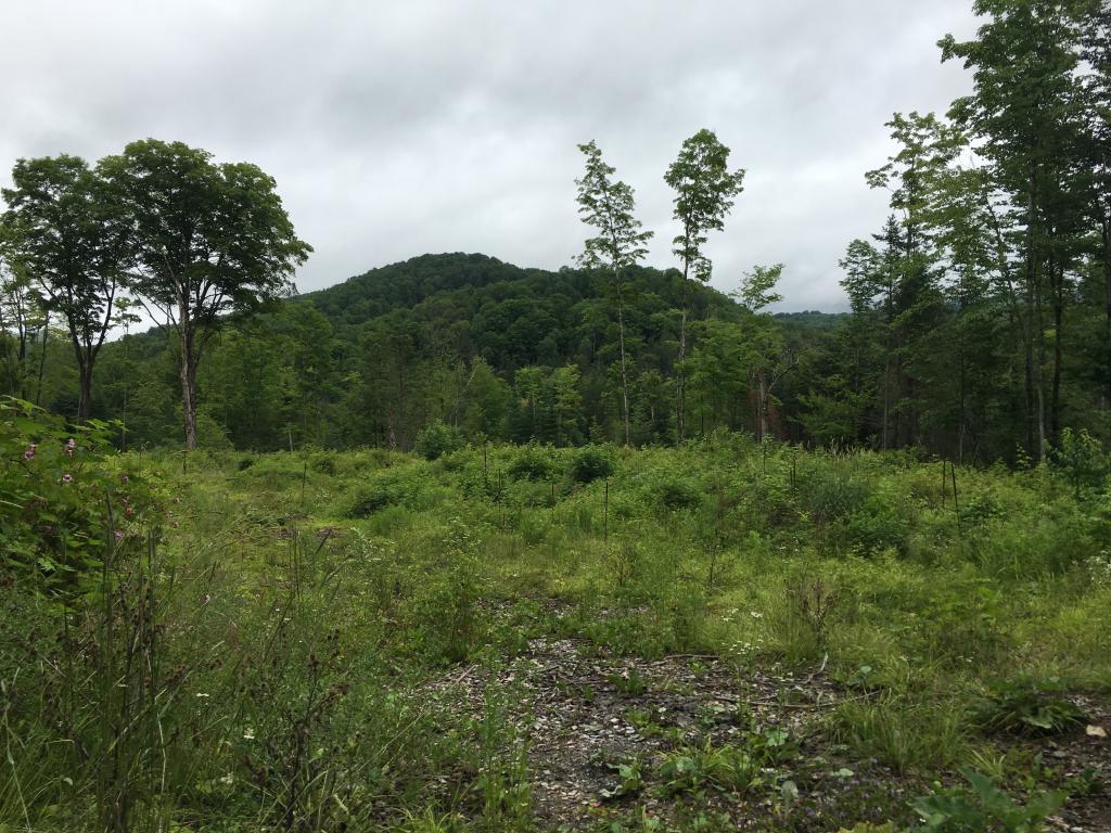 On Houston Hill Road Cabot, VT 05647 - Photo 1 of 4