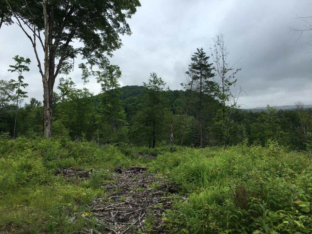 On Houston Hill Road Cabot, VT 05647 - Photo 3 of 4