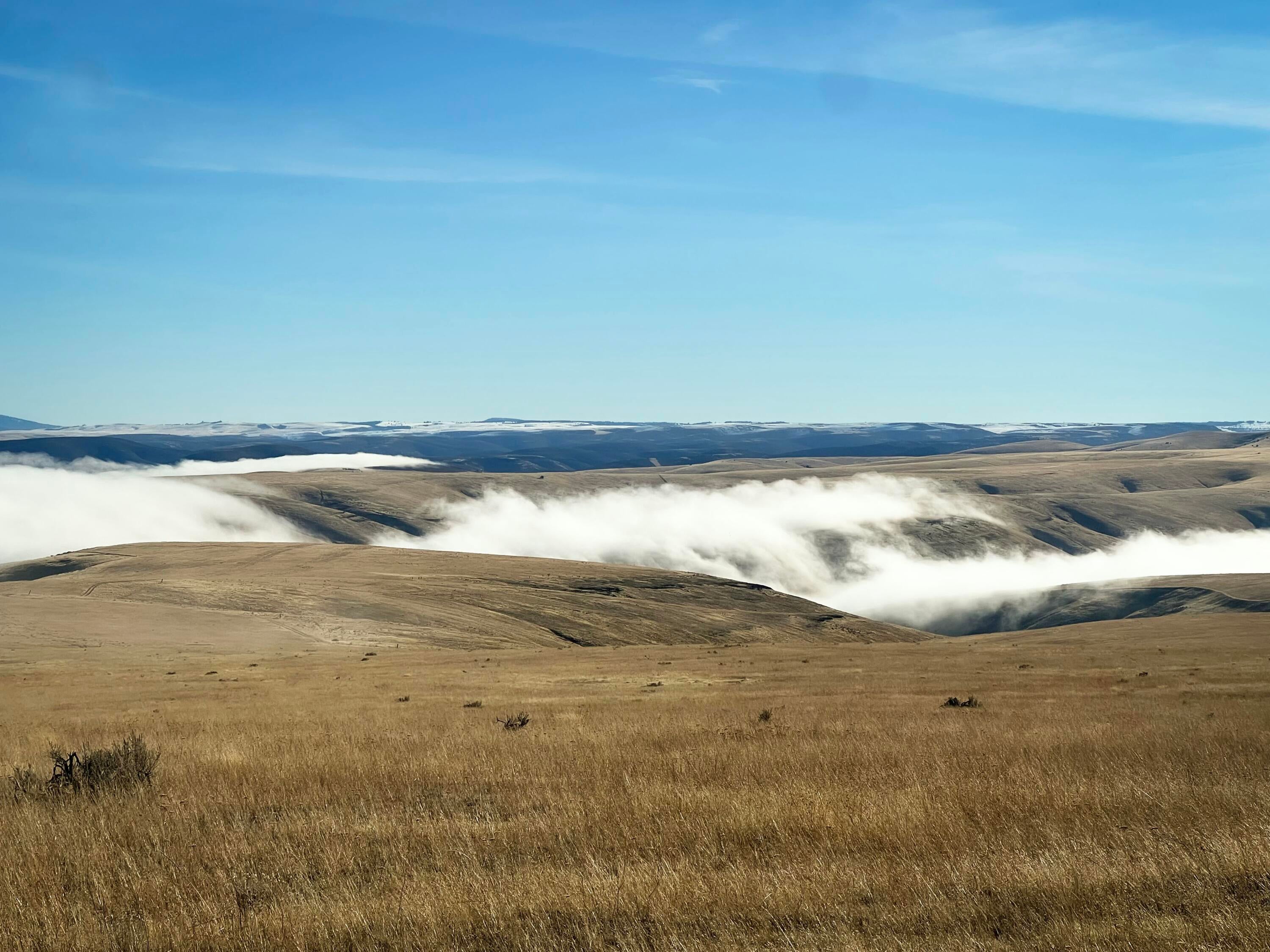 21064 Edwards Road Condon, OR 97823 - Photo 8 of 14 tempImageR3WqKX