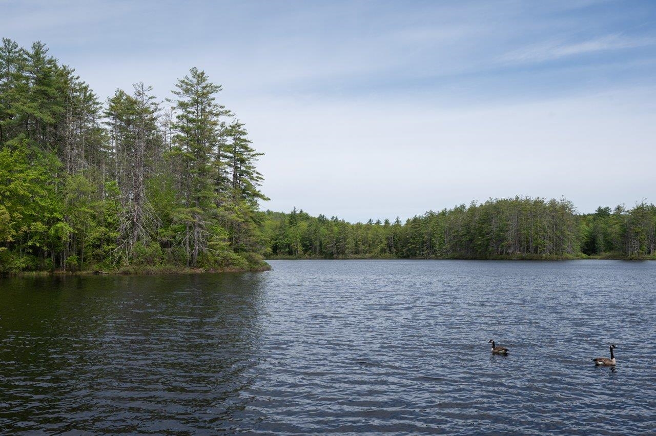 217 Reservoir Road Farmington, NH 03835 - Photo 51 of 51