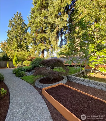 a view of a street with a tree
