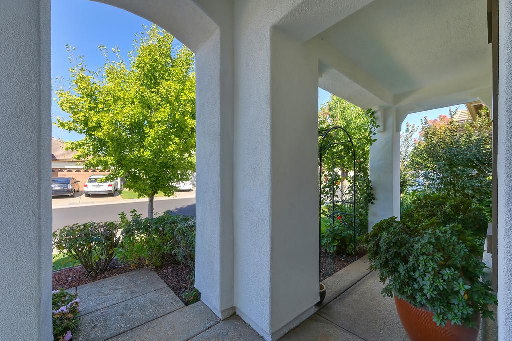 3930 Riley Anton Way Rancho Cordova, CA 95742 - Photo 7 of 45 a view of a garden with plants and a bench