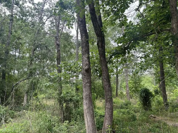 $69,999 | 195 Greathouse Street, Vidor, TX 77662