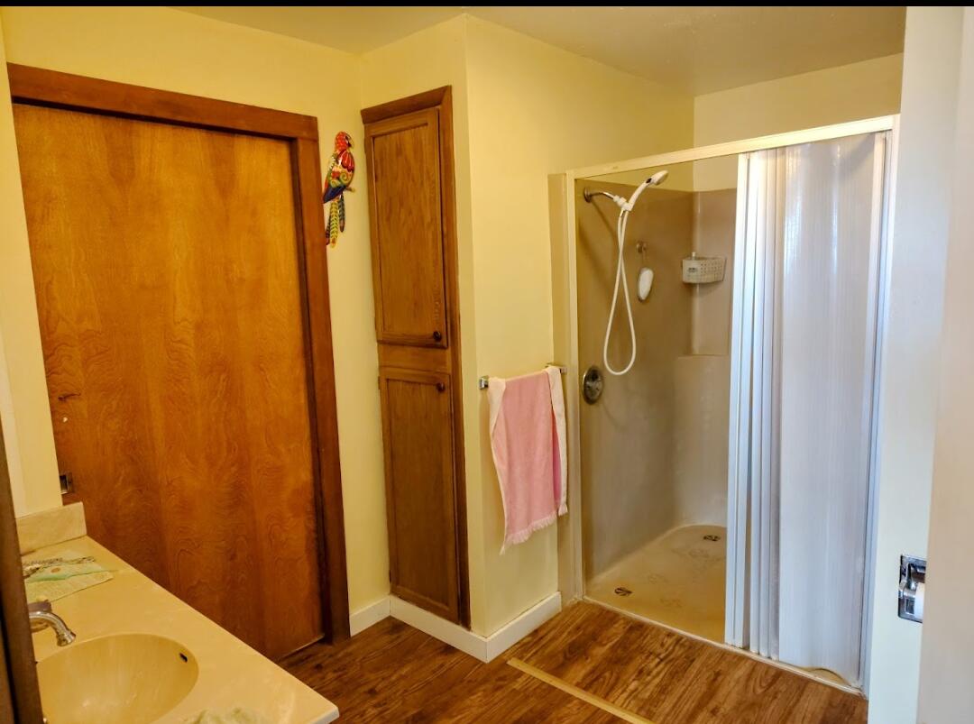 298 Main Street Monument, OR 97864 - Photo 18 of 66 a bathroom with a shower and a sink