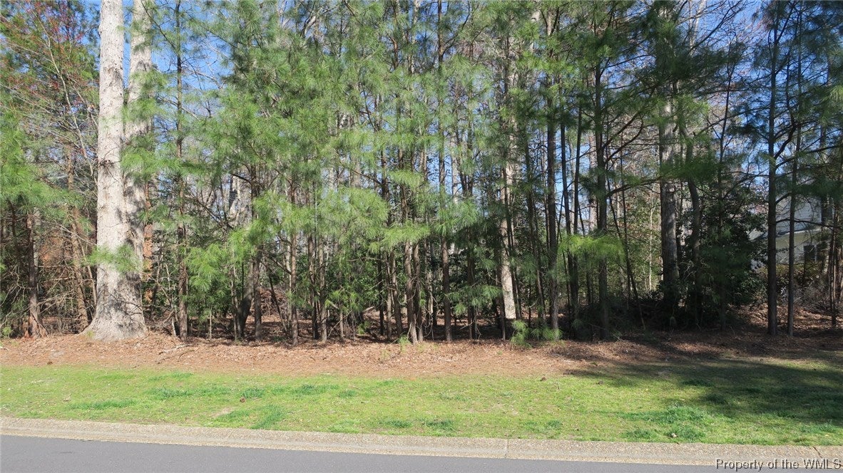 3017 South Freeman Road Williamsburg, VA 23185 - Photo 11 of 12 Gallery Image 11