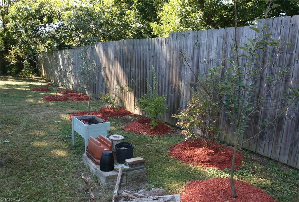 409 Moser Street Graham, NC 27253 - Photo 4 of 18 Fruit Trees & Blueberry Bushes. Room for a Garden too!