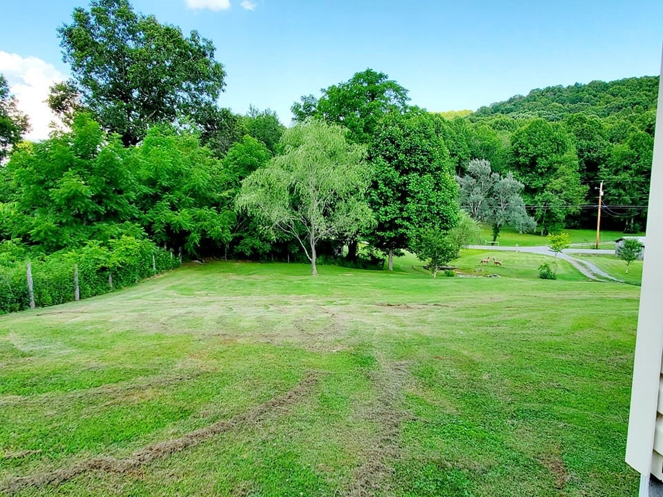 500 Shannons Branch Road Cedar Bluff, VA 24609 - Photo 23 of 49 Gallery Image 23