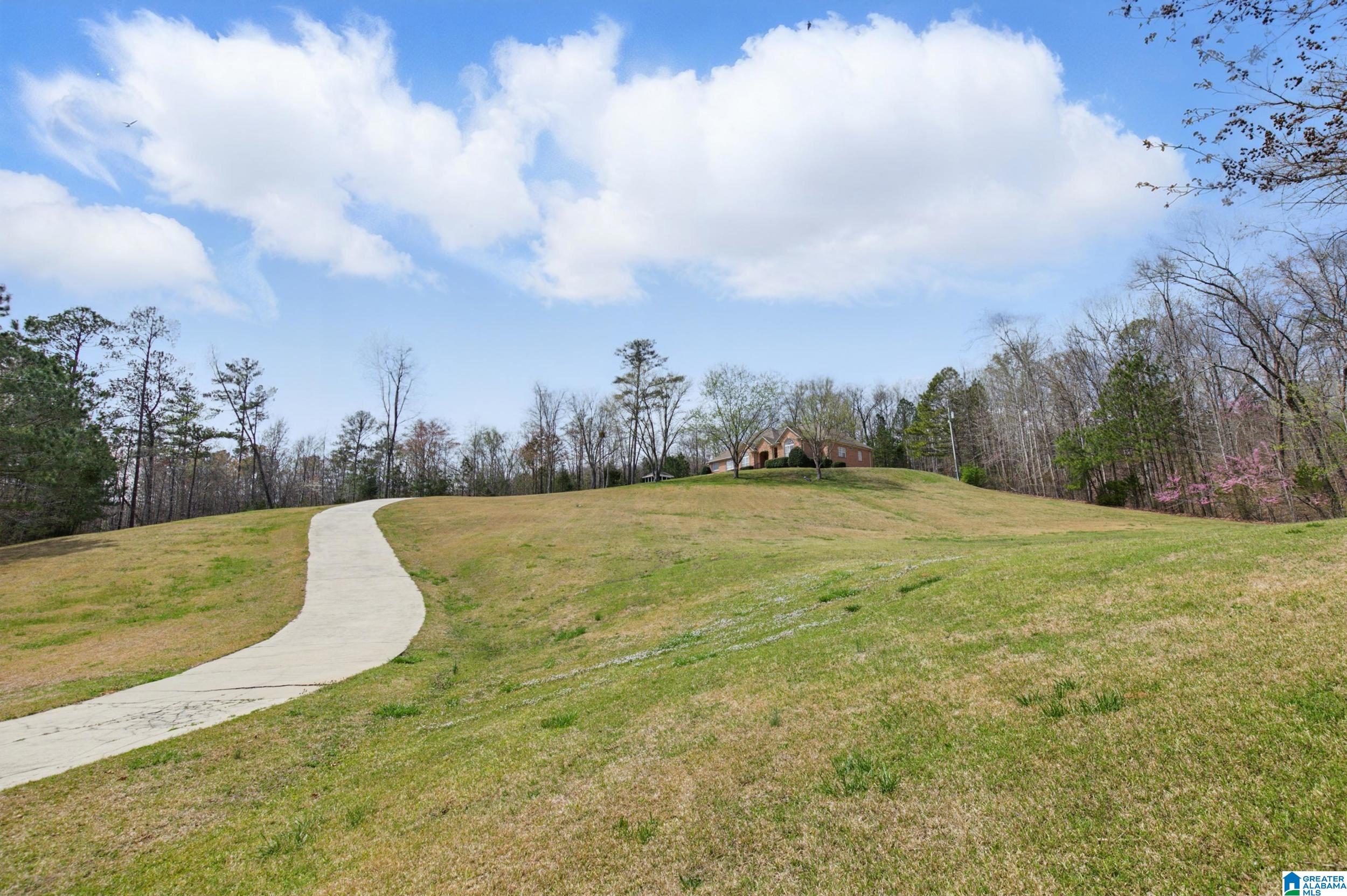 2840 Village Springs Road Springville, AL 35146 - Photo 49 of 51