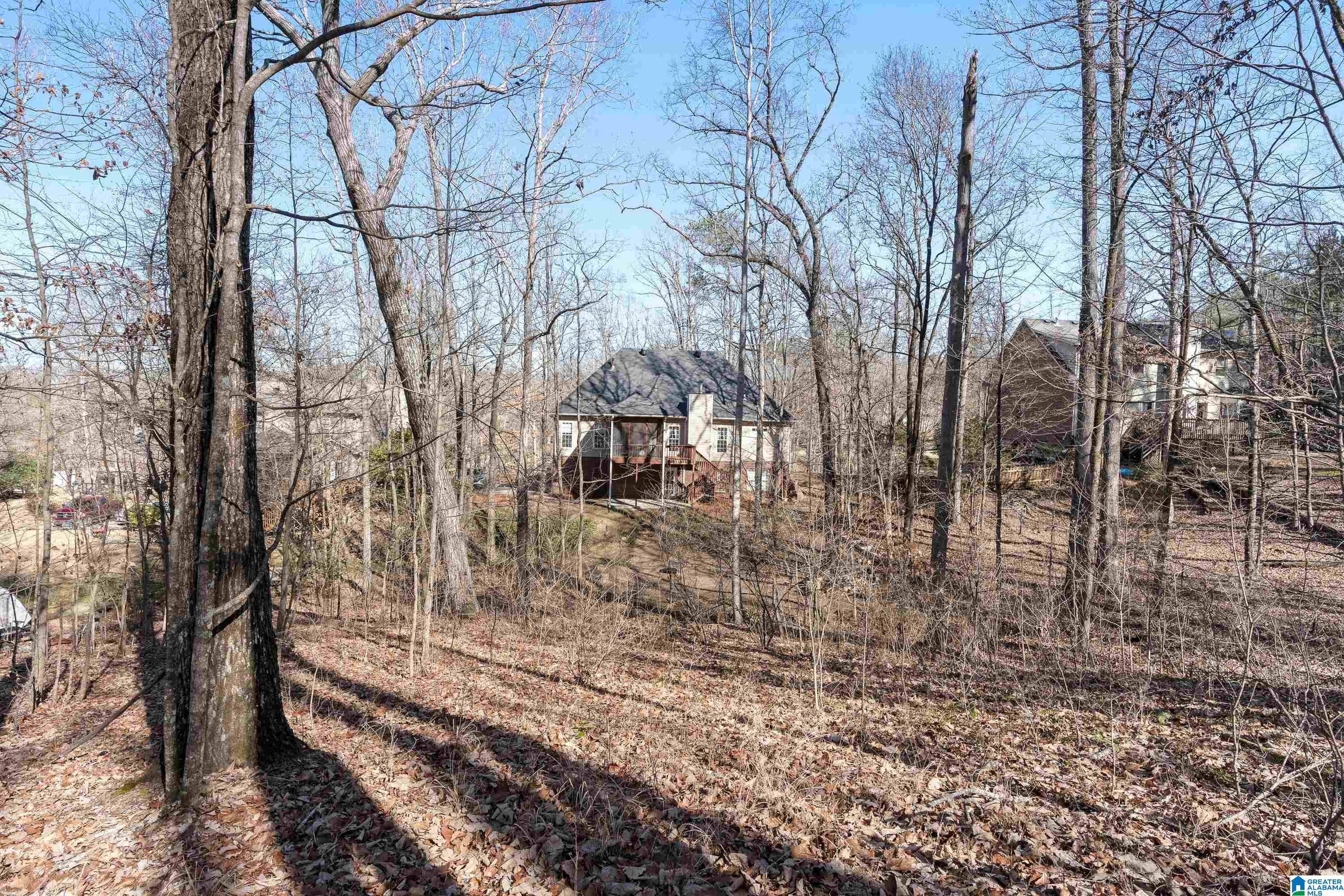 172 Silverleaf Drive Pelham, AL 35124 - Photo 43 of 54