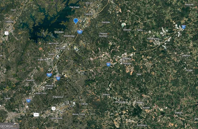 a view of a lush green forest