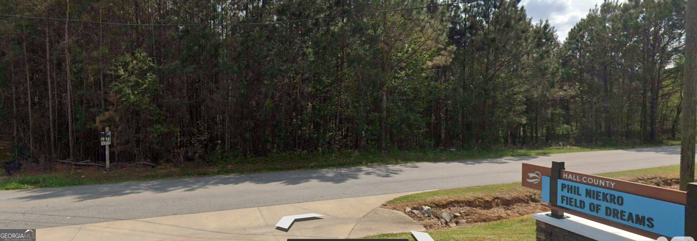 5531 Radford Road Flowery Branch, GA 30542 - Photo 27 of 33 a view of a backyard with a sink