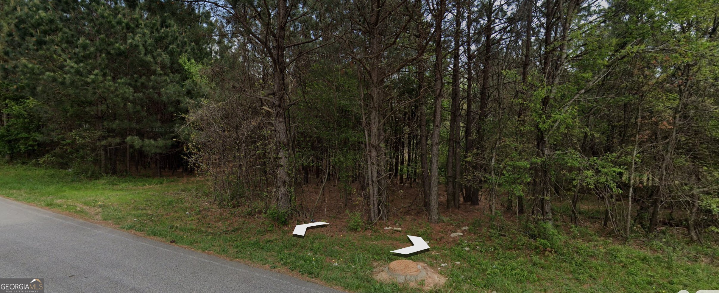 5531 Radford Road Flowery Branch, GA 30542 - Photo 28 of 33 a view of a lush green forest