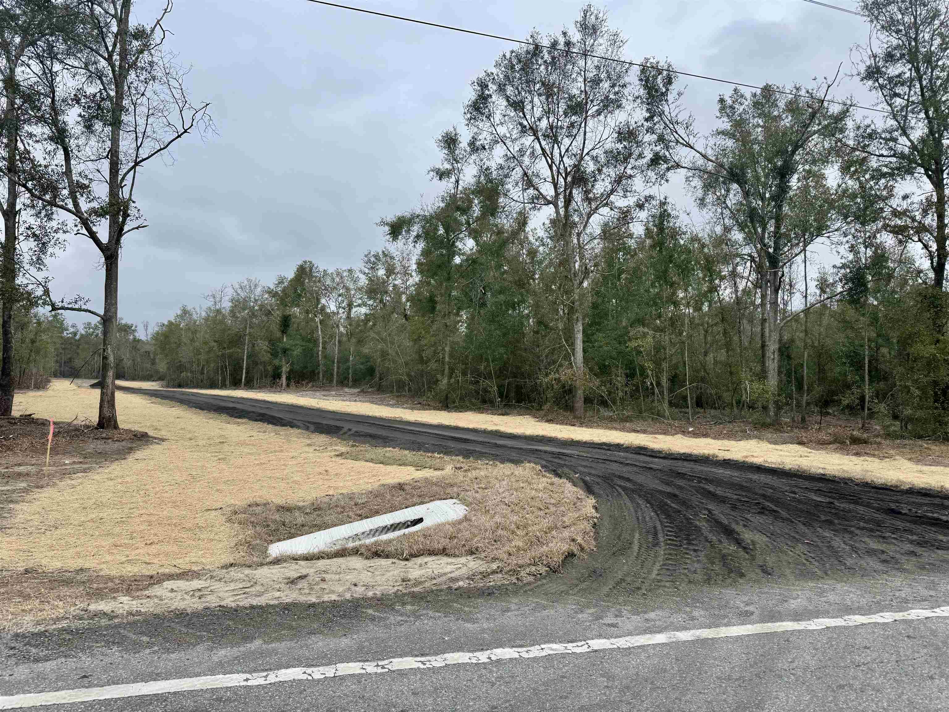 2 Highway 90 Holt, FL 32564 - Photo 7 of 24