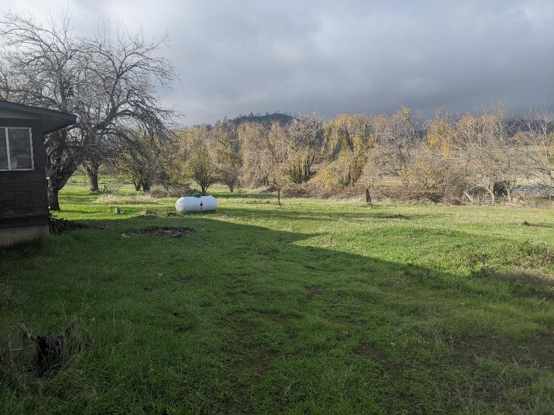 6556 Placer Road Igo, CA 96047 - Photo 6 of 23 a garden with lots of trees in the background