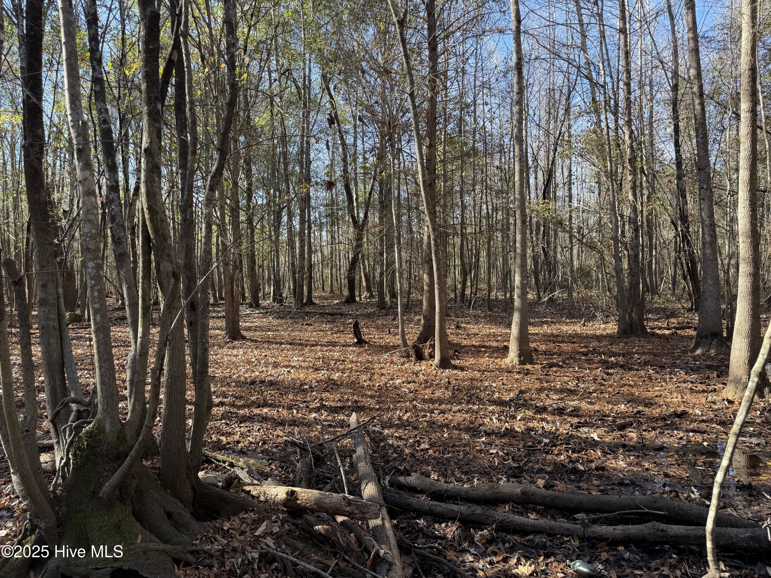 0 Macedonia Church Road Evergreen, NC 28438 - Photo 26 of 34 Image 26