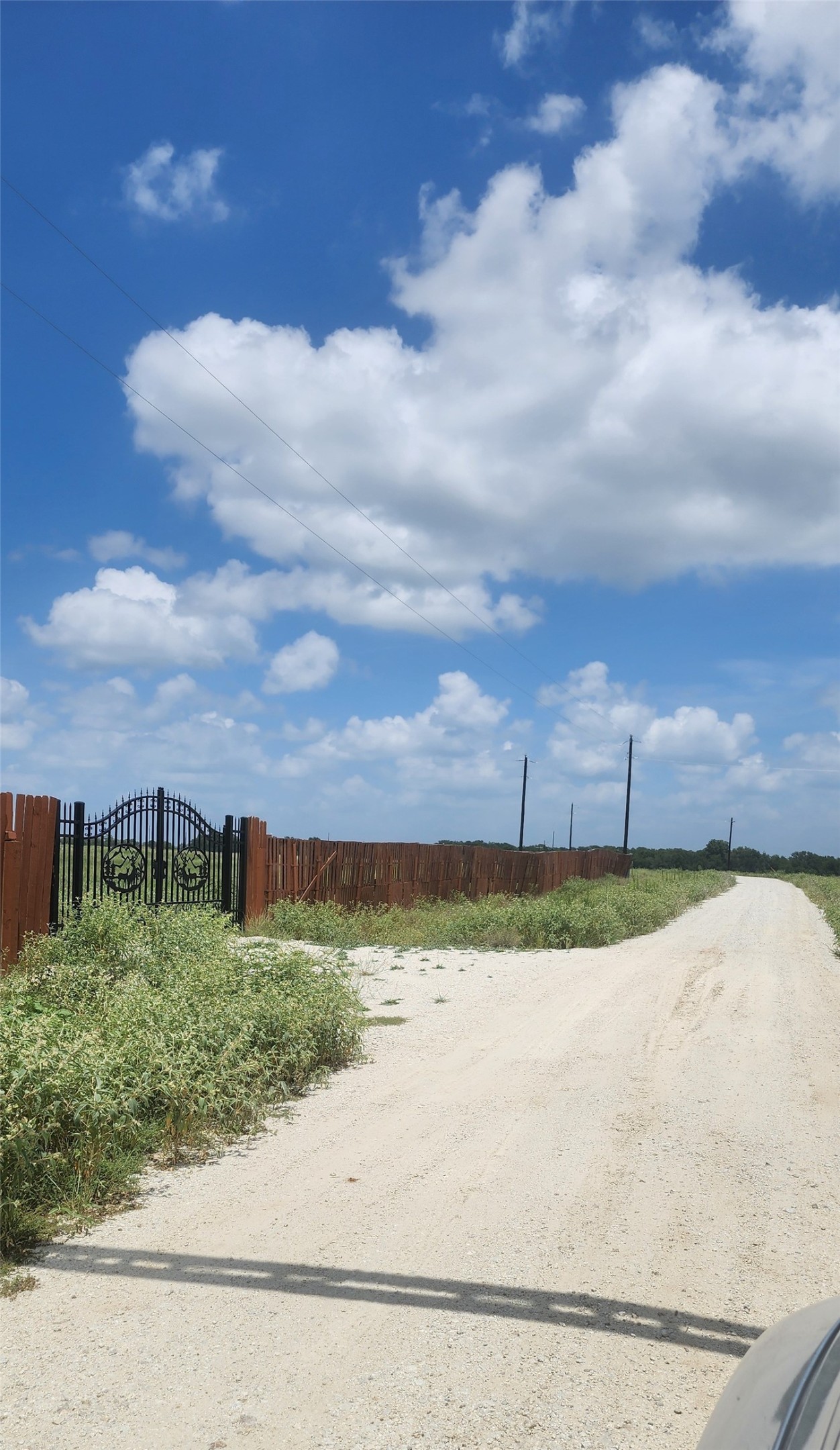 0 County Road 654 Thornton, TX 76687 - Photo 2 of 9 a view of a city