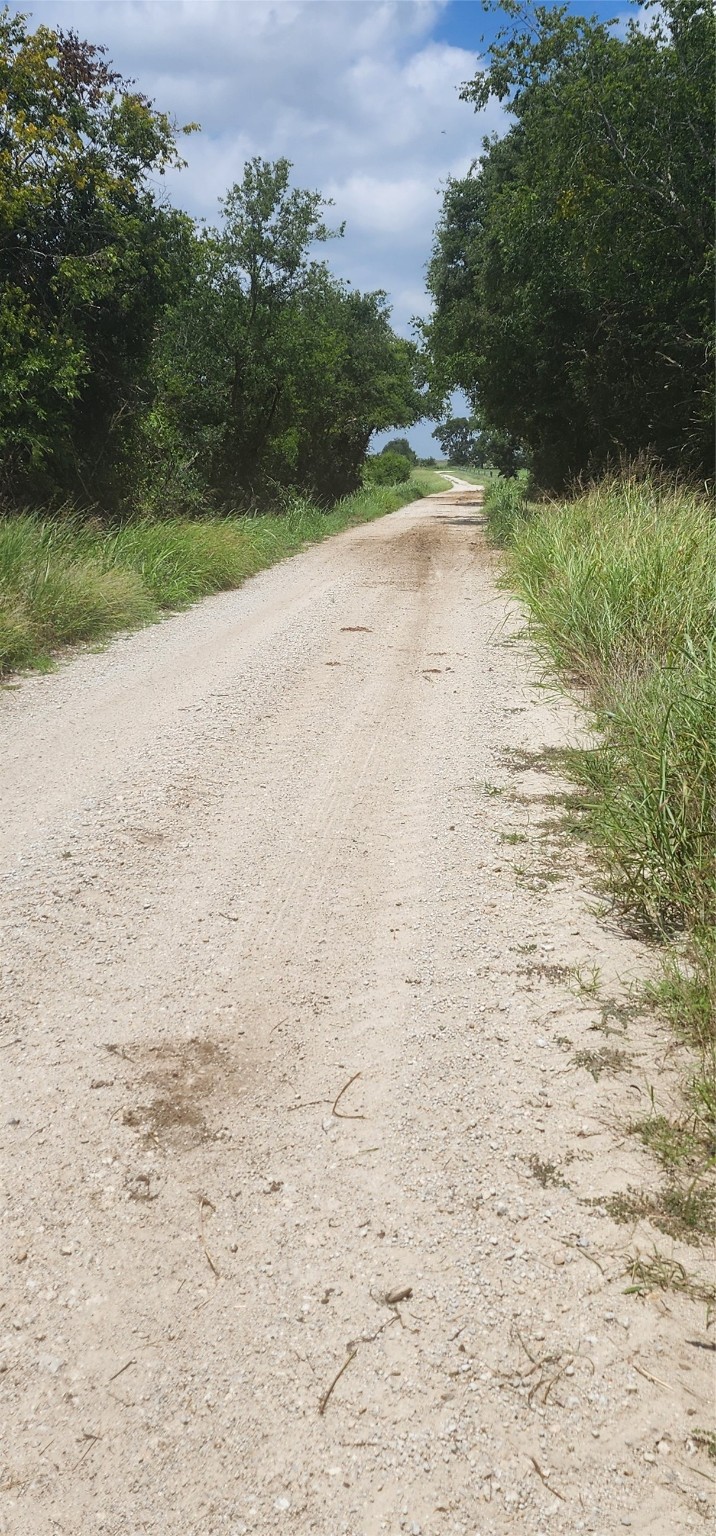 0 County Road 654 Thornton, TX 76687 - Photo 3 of 9