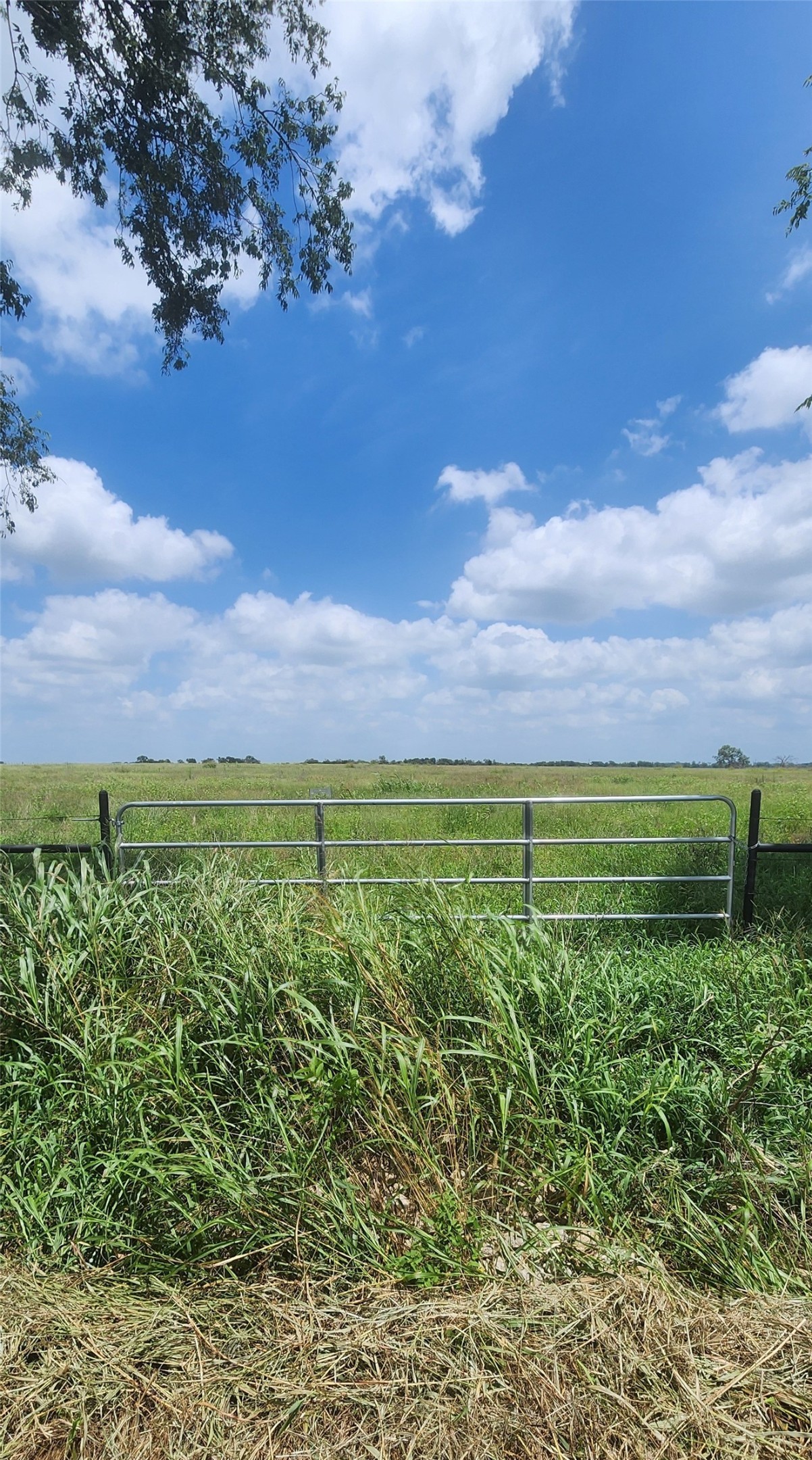 0 County Road 654 Thornton, TX 76687 - Photo 6 of 9 a view of an outdoor space and a yard