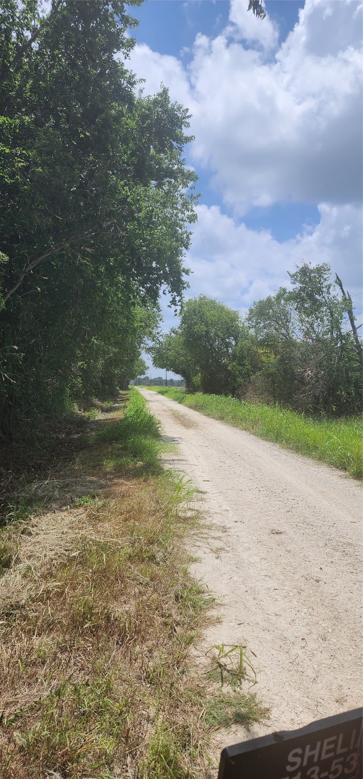 0 County Road 654 Thornton, TX 76687 - Photo 8 of 9