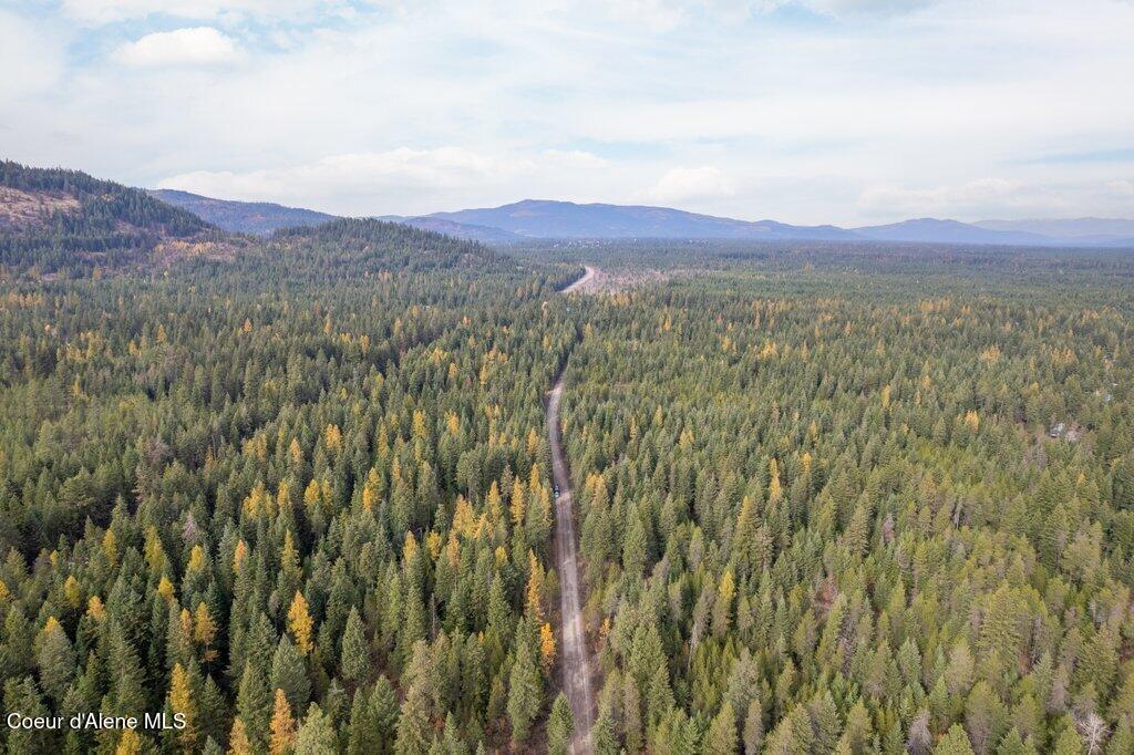 Lot 2 North Peak Road Spirit Lake, ID 83869 - Photo 1 of 1 001-NKAnextto27813NorthPeakRoad-SpiritLa