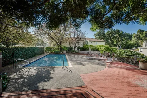 a view of a yard with plants and a bench