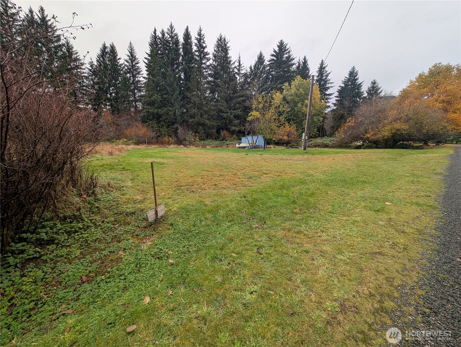 81 Barber Road Clallam Bay, WA 98326 - Photo 27 of 30 a view of a field with trees