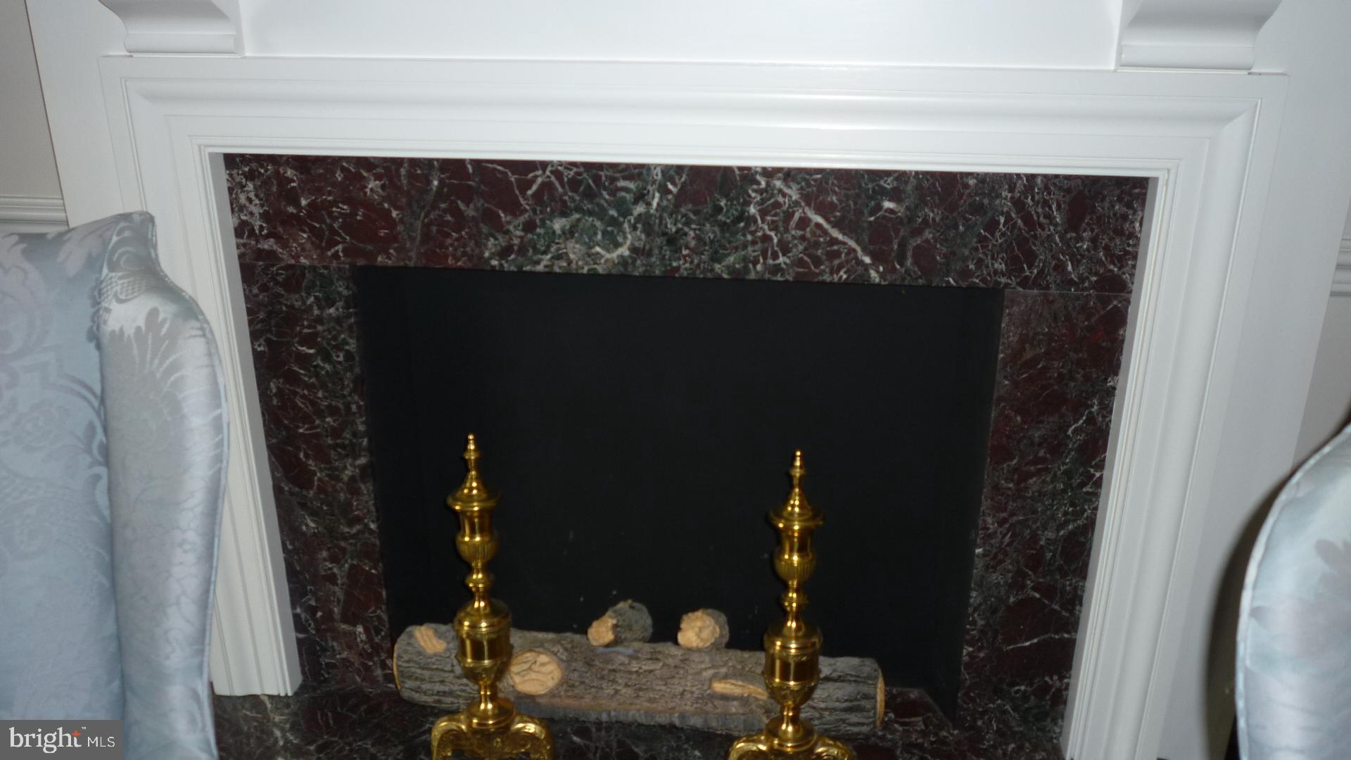 17300 Twin Ridge Court Silver Spring, MD 20905 - Photo 15 of 57 Artificial Fireplace in Living Room with Marble