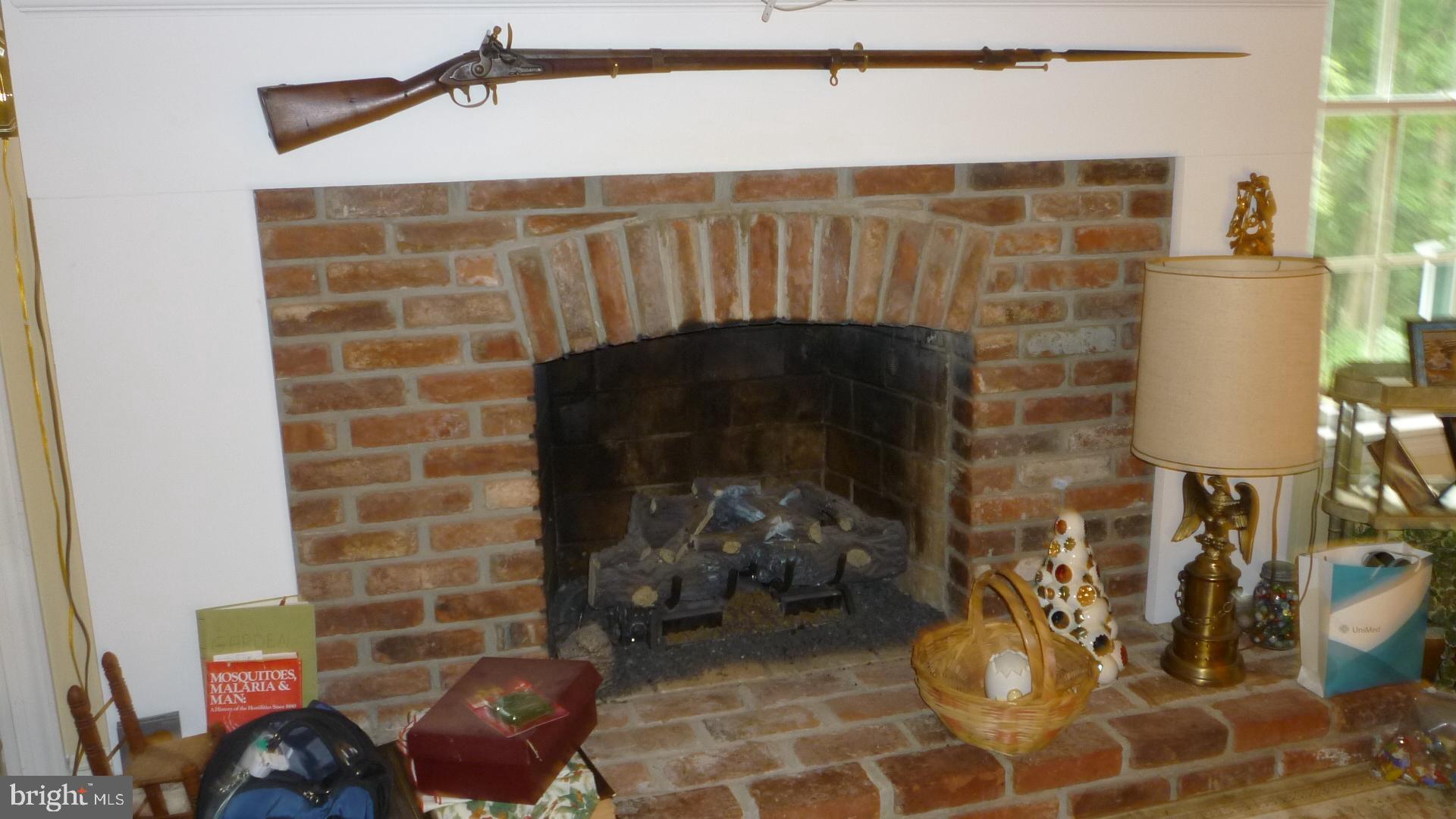 17300 Twin Ridge Court Silver Spring, MD 20905 - Photo 24 of 57 Gas Fireplace in Family Room