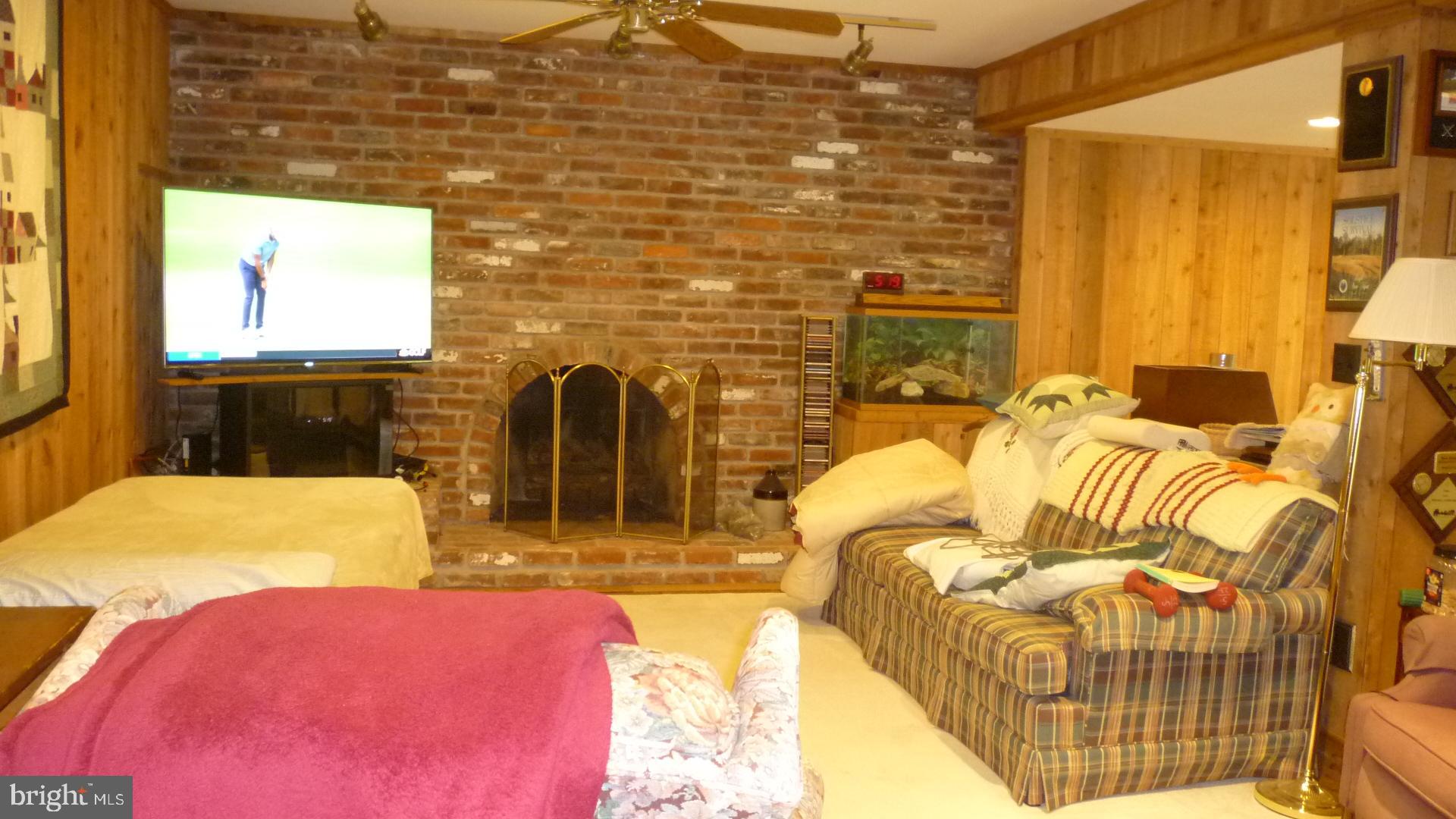 17300 Twin Ridge Court Silver Spring, MD 20905 - Photo 31 of 57 Recreation Room with Gas Fireplace