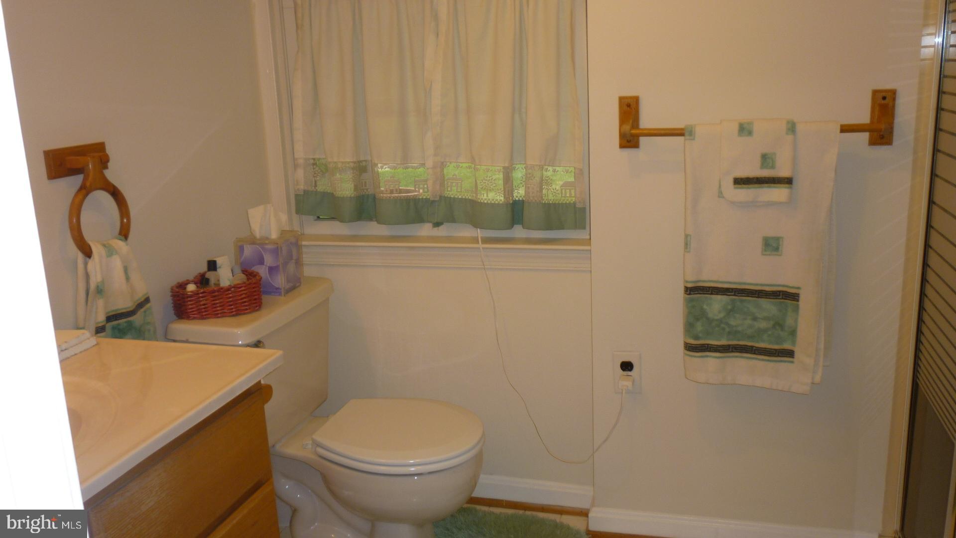 17300 Twin Ridge Court Silver Spring, MD 20905 - Photo 38 of 57 Full Bath in Basement