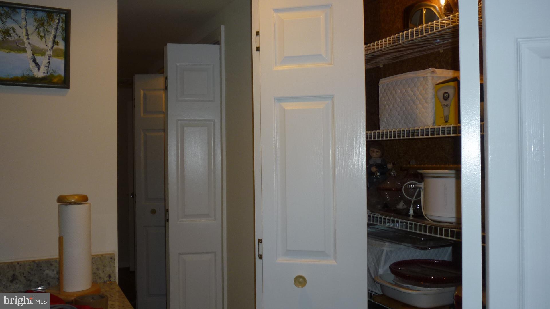 17300 Twin Ridge Court Silver Spring, MD 20905 - Photo 43 of 57 Loads of Closet and Storage Space in Basement