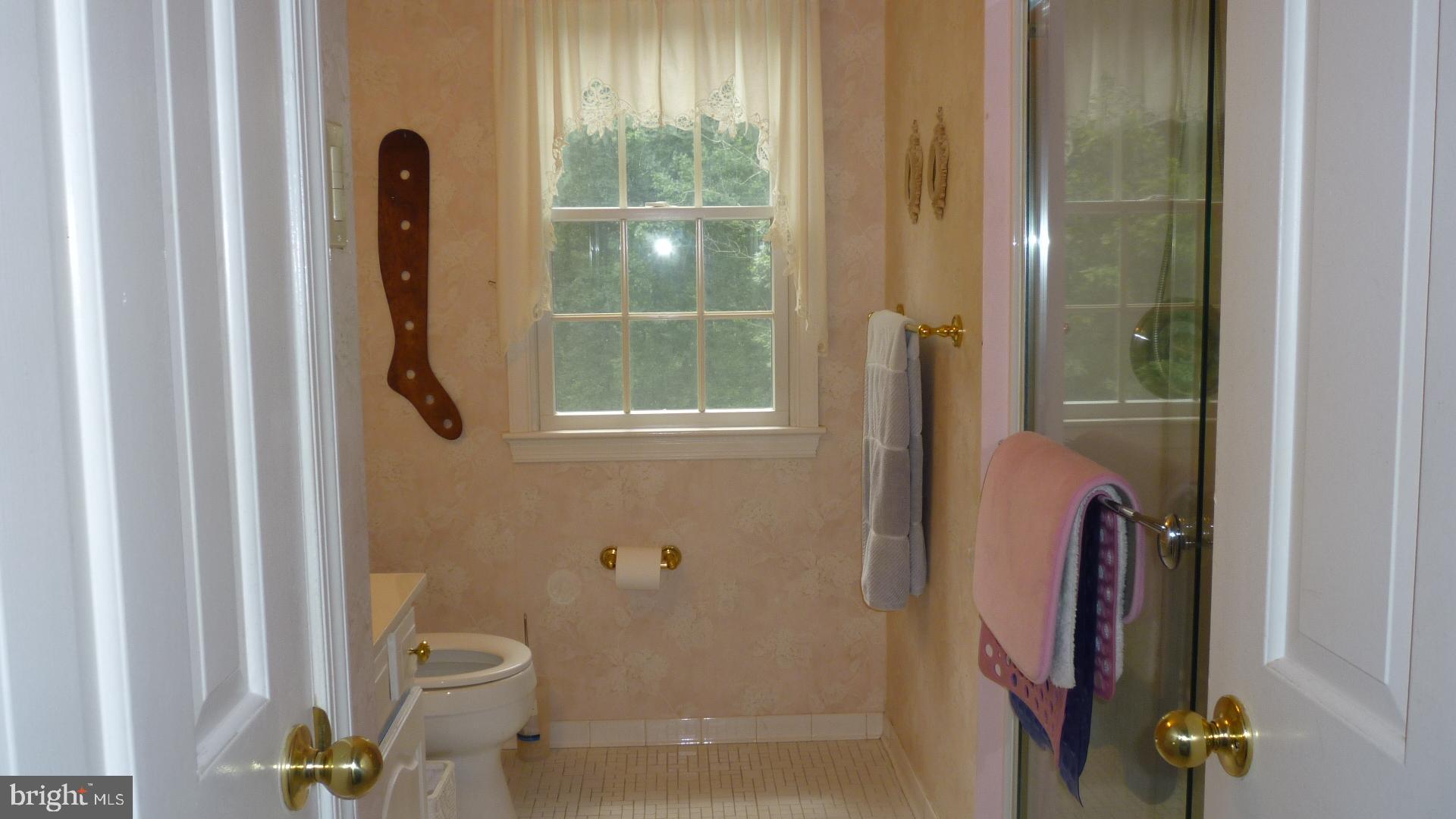 17300 Twin Ridge Court Silver Spring, MD 20905 - Photo 48 of 57 Full Bath in Hallway