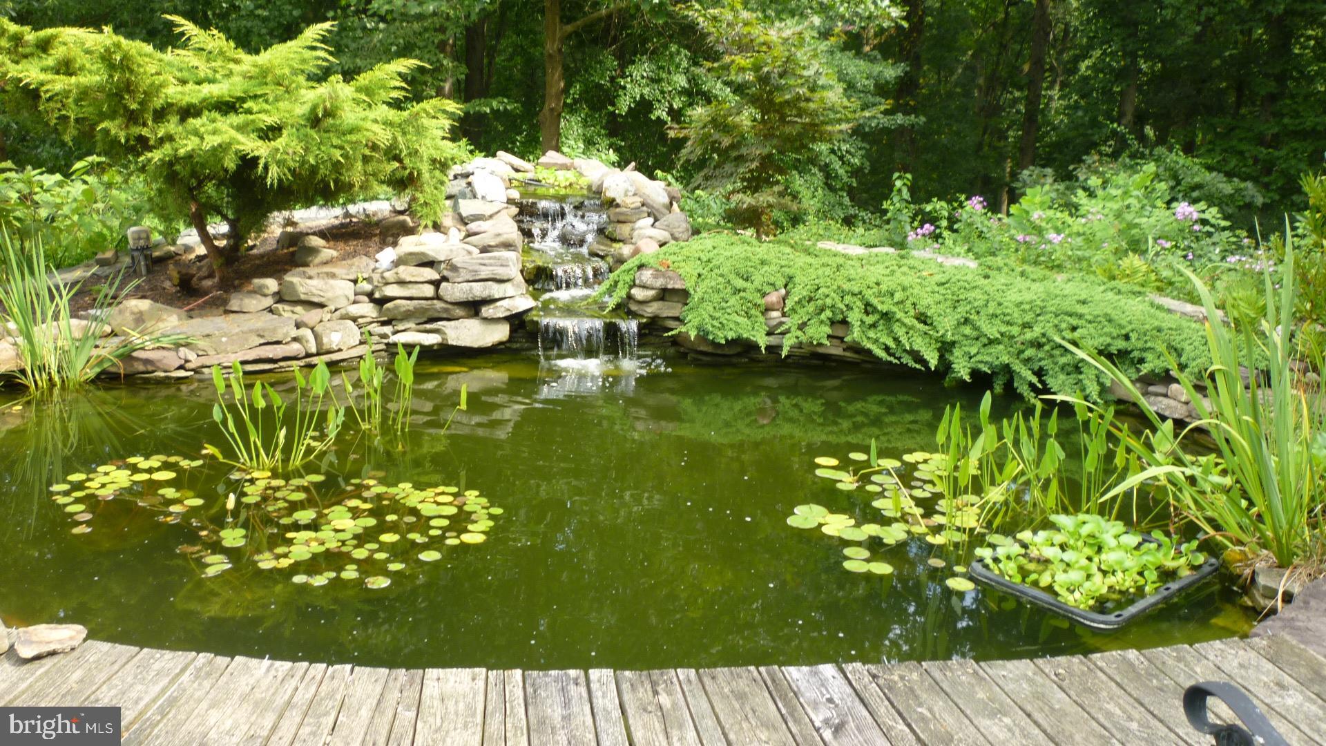 17300 Twin Ridge Court Silver Spring, MD 20905 - Photo 6 of 57 Koy Pond in Rear Yard