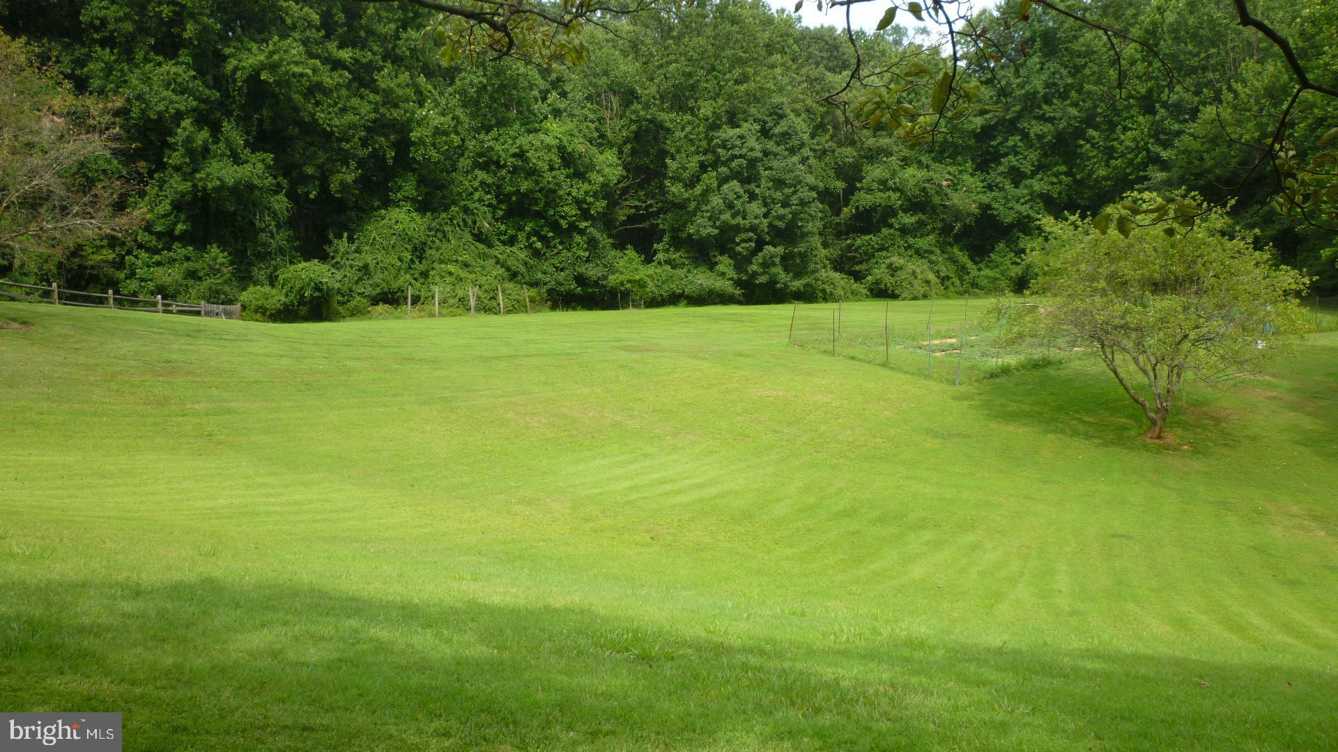 17300 Twin Ridge Court Silver Spring, MD 20905 - Photo 7 of 57 Huge Side Yard with Vegetable Garden
