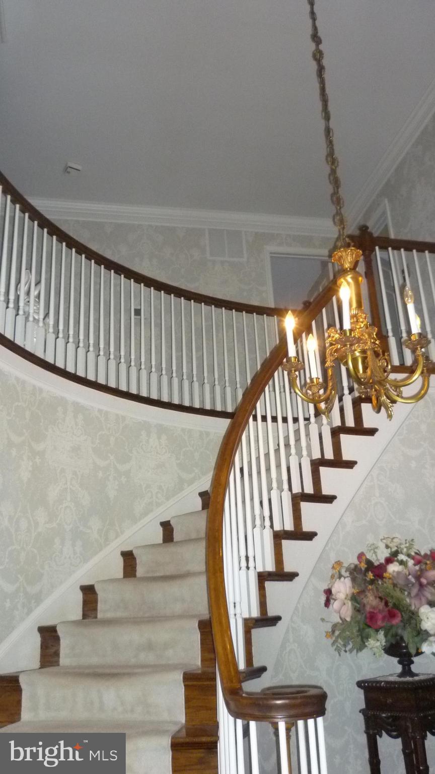 17300 Twin Ridge Court Silver Spring, MD 20905 - Photo 10 of 57 Two Story Foyer Entry