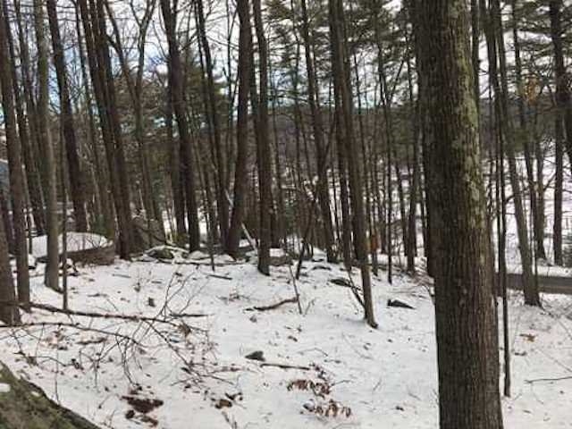 16 Varney Point Rd Right Gilford, NH 03249 - Photo 2 of 5