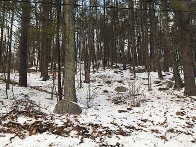 16 Varney Point Rd Right Gilford, NH 03249 - Photo 3 of 5
